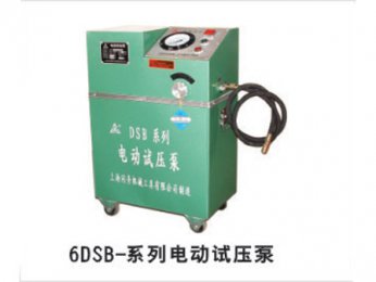 6DSB-系列pg电子平台压泵